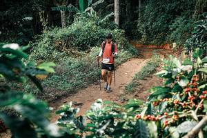 BIB: 
                            <button type="button" onclick="openModal(25856453)" class="btn btn-primary btn-sm float-right btn-popup" data-toggle="modal" data-target=".modal-high-quality">
                        <i class="fas fa-shopping-cart"></i> Add to Cart
                    </button>
                                            <button type="button" onclick="isThisMe(25856453, true)" class="btn btn-success btn-sm float-right btn-popup btn-isme hidden" data-toggle="tooltip" data-placement="bottom" title="นี่คือรูปของคุณใช่ไหม คลิกที่นี่เพื่อเอาเข้าอัลบั้ม">
                        <i class="fas fa-plus"></i> Add to album
                    </button>
                    <button type="button" onclick="isThisMe(25856453, false)" class="btn btn-warning btn-sm float-right btn-popup btn-isnotme hidden">
                        <i class="fas fa-ban"></i> Remove from album
                    </button>